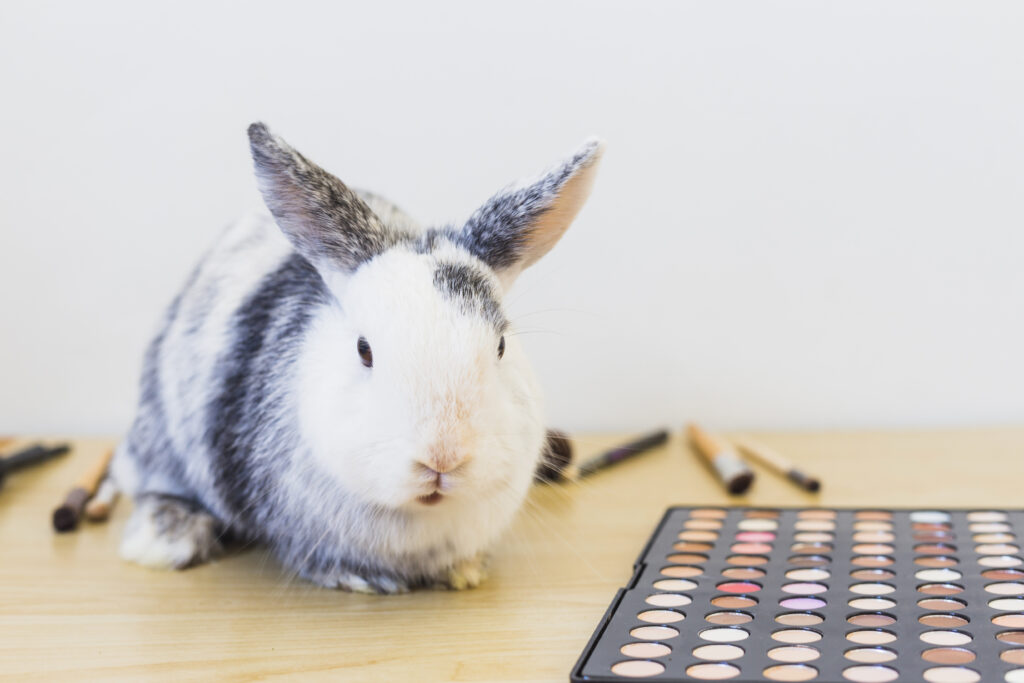 can bunnies eat saltine crackers